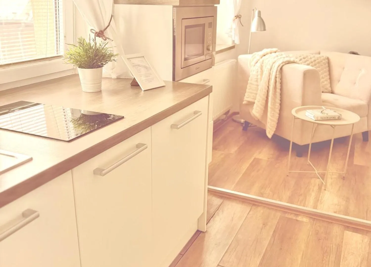 Trio Apartments Ostrava 0*,